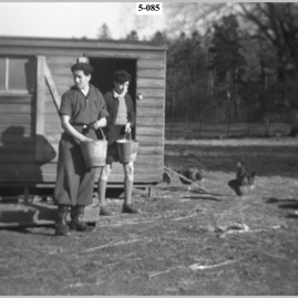 Two boys feeding hens.jpg